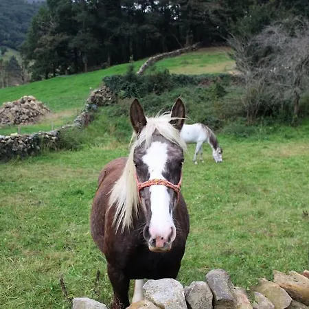 Rural House El Portalon De Luena Apartment Tablado (Cantabria)